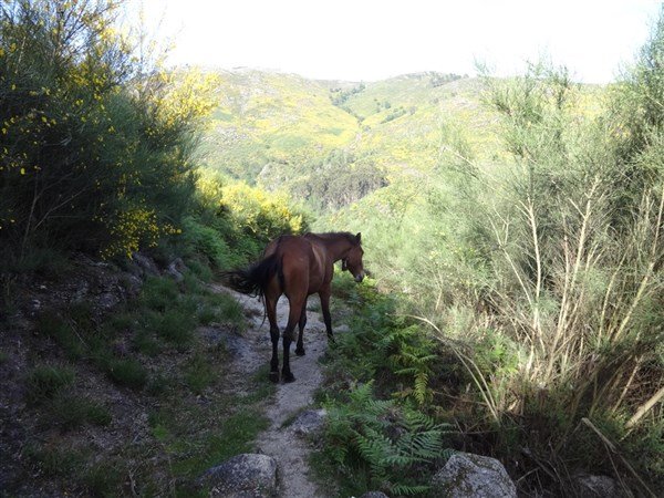 Porto a bukolická příroda severního Portugalska