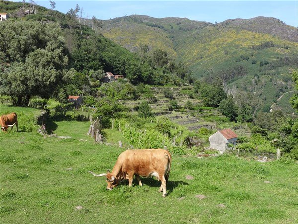 Porto a bukolická příroda severního Portugalska
