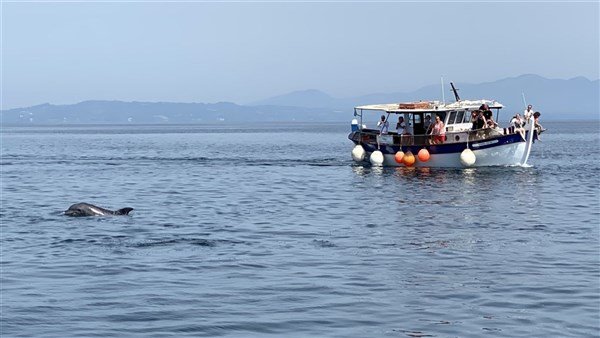 Toulky Lefkádou s koupáním