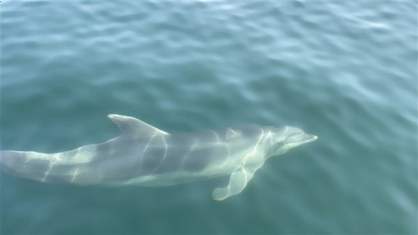 Toulky Lefkádou s koupáním