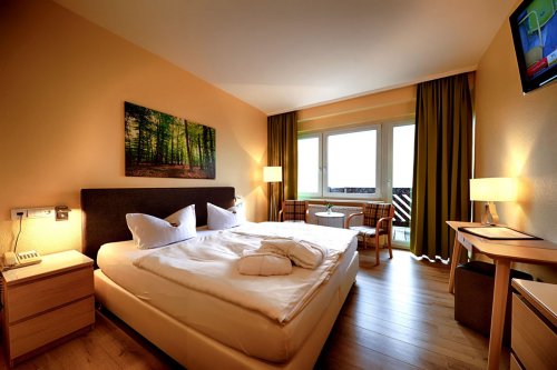 Panorama Hotel Oberwiesenthal S