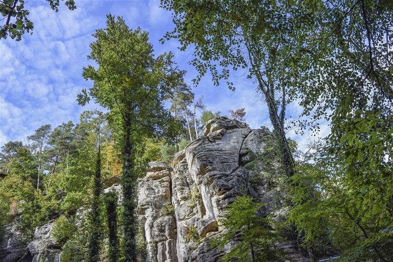 Belgie a Lucembursko s květinovým kobercem