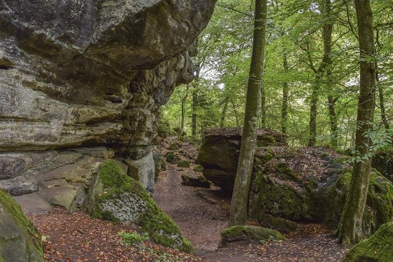 Belgie a Lucembursko s květinovým kobercem