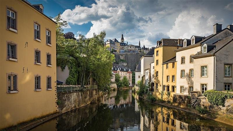 Belgie a Lucembursko s květinovým kobercem