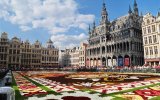 Belgická pohádka - Bruggy a Brusel, Belgie a Lucembursko s květinovým kobercem Belgie a Lucembursko s květinovým kobercem