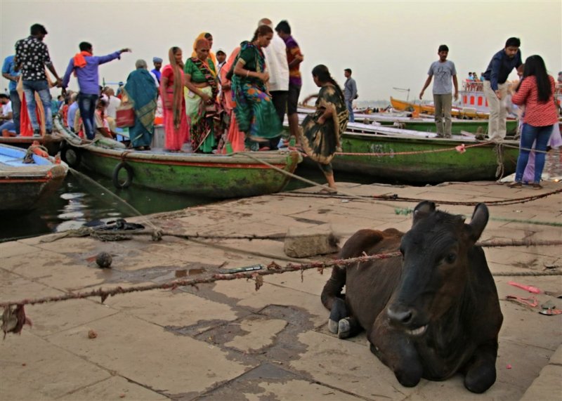 Mystická Indie - posvátná cesta z Jaipuru do Váránasí