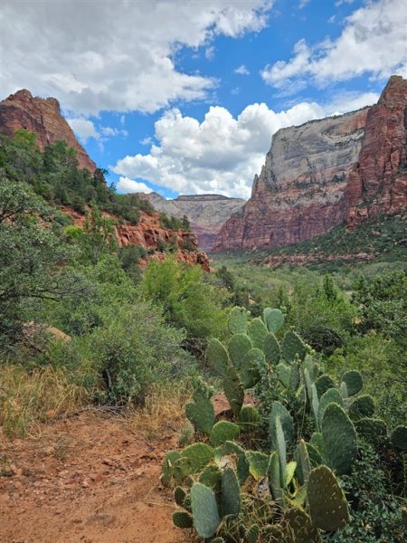 USA - Luxusní dovolená v Las Vegas a v národních parcích