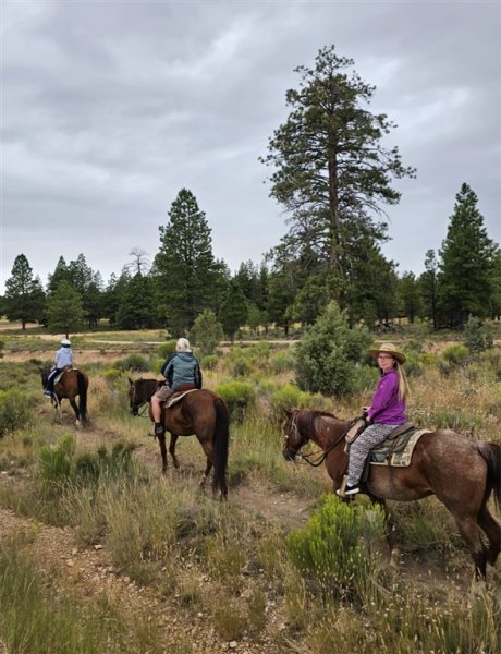 USA - Luxusní dovolená v Las Vegas a v národních parcích