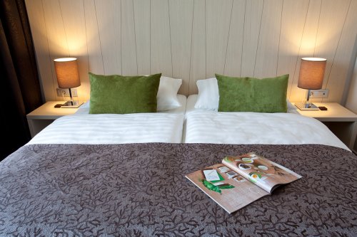 Hotel Astoria Bled se skipasem