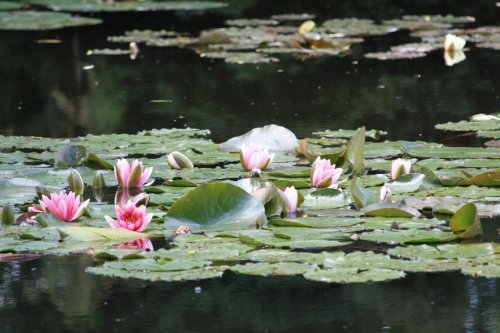 To nejkrásnější z Normandie