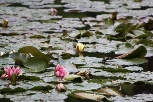 To nejkrásnější z Normandie