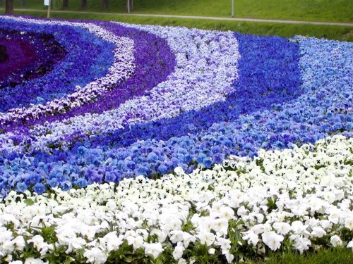 Holandsko, Velikonoce v zemi tulipánů, Amsterdam