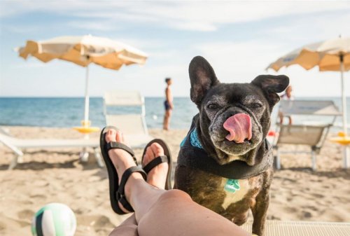 Villaggio Club Degli Amici