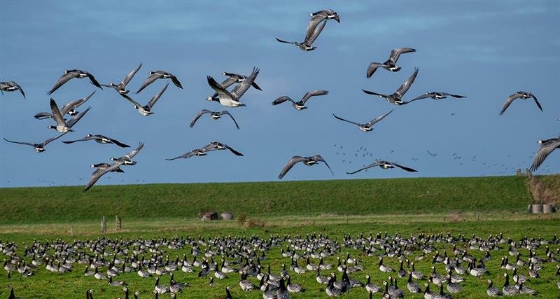 Za legendami severu - to nejlepší z Dánska s výletem do Malmö