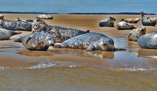 Za legendami severu - to nejlepší z Dánska s výletem do Malmö