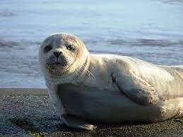 Za legendami severu - to nejlepší z Dánska s výletem do Malmö