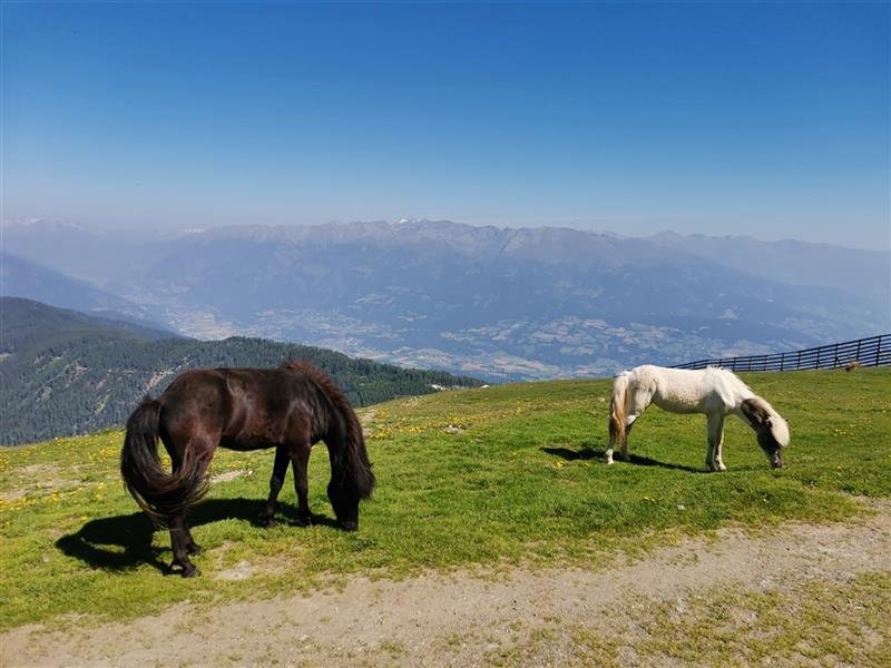 Léto v Korutanech s kartou