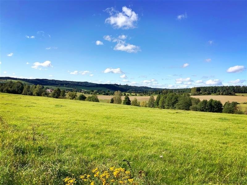 česká Kanada - Dovolená Plná Zážitků