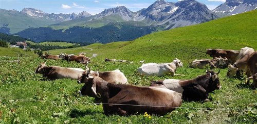 Švýcarsko letecky s panoramatickými vlaky