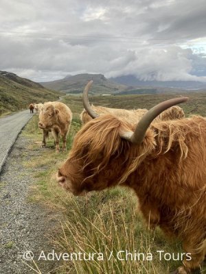 Skotsko divoké a krásné