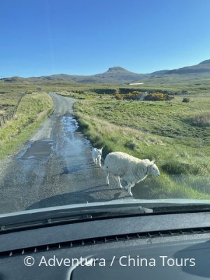 Skotsko divoké a krásné