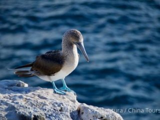 Ekvádor, Galapágy a Machu Picchu Ekvádor, Galapágy a Machu Picchu