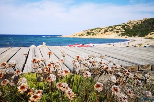 Club Esse Gallura Beach Village