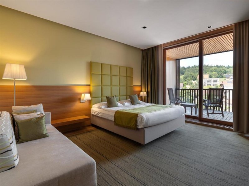 Hotel Balnea