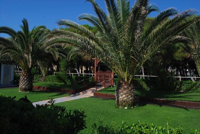 Alba Adriatica - Hotel Meripol