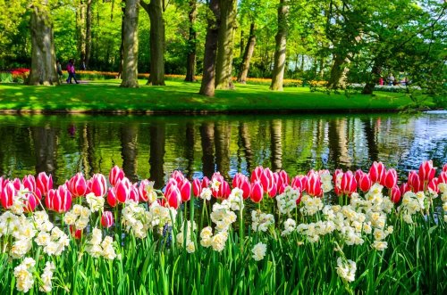 Květinový park Keukenhof s návštěvou Amsterdamu