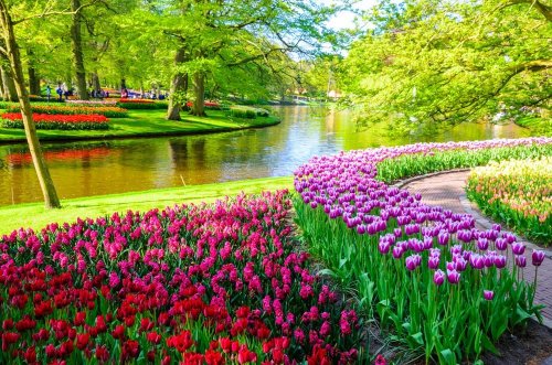 Květinový park Keukenhof s návštěvou Amsterdamu