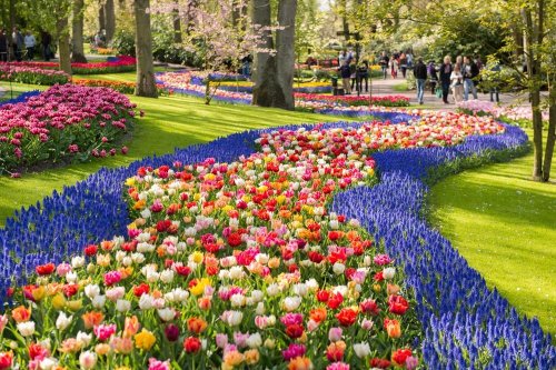 Květinový park Keukenhof s návštěvou Amsterdamu