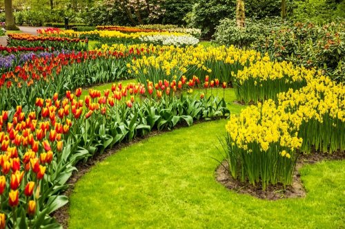 Květinový park Keukenhof s návštěvou Amsterdamu