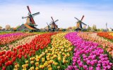 Katalog zájezdů, Květinový park Keukenhof s návštěvou Amsterdamu