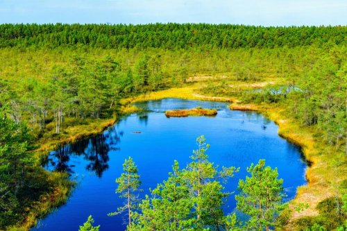 Helsinky, hlavní města Pobaltí a národní park Lahemaa