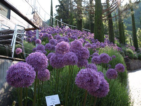 Nejkrásnější zahrady Itálie