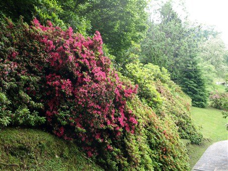 Nejkrásnější zahrady Itálie