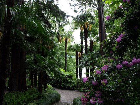 Nejkrásnější zahrady Itálie