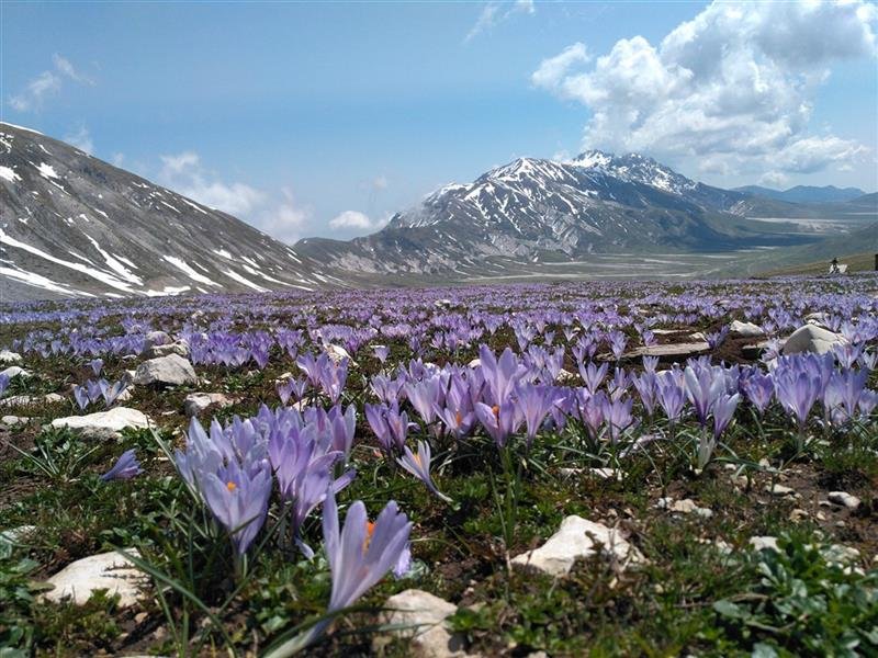 Palmová riviéra pro gurmány s koupáním