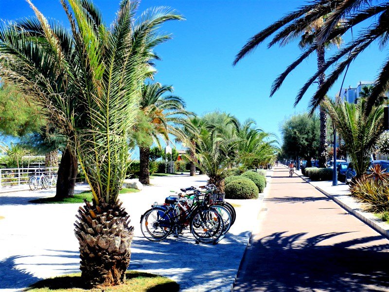 Palmová riviéra pro gurmány s koupáním