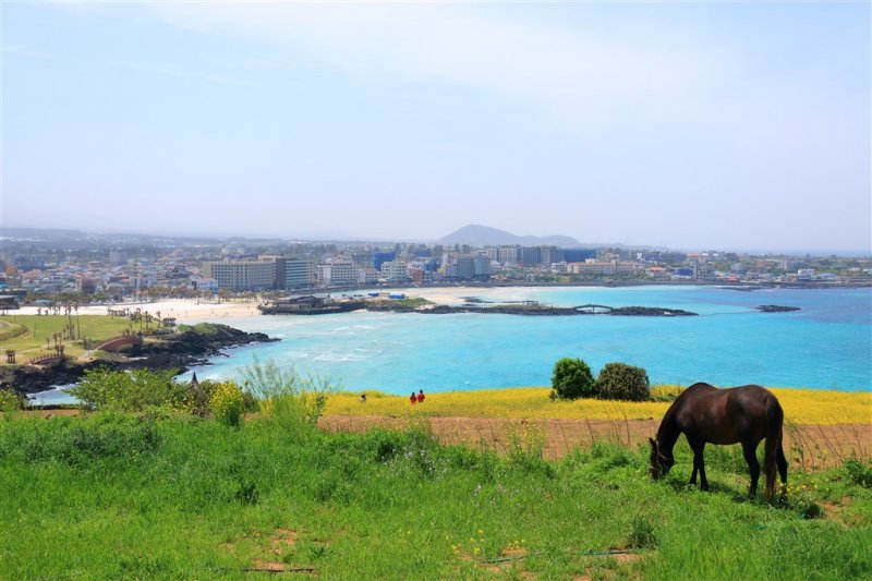 Jižní Korea - Čtyři tváře Koreje - sakury, hory, moře a javorové listy