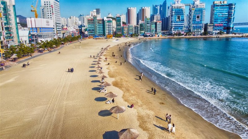 Jižní Korea - Čtyři tváře Koreje - sakury, hory, moře a javorové listy