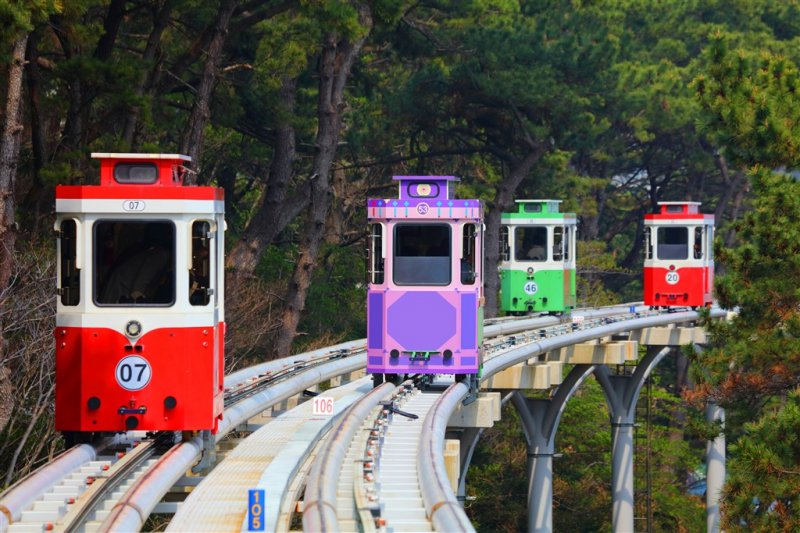 Jižní Korea - Čtyři tváře Koreje - sakury, hory, moře a javorové listy