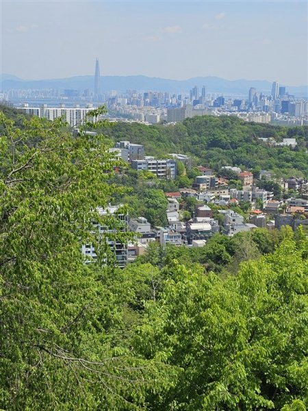 Jižní Korea - Čtyři tváře Koreje - sakury, hory, moře a javorové listy