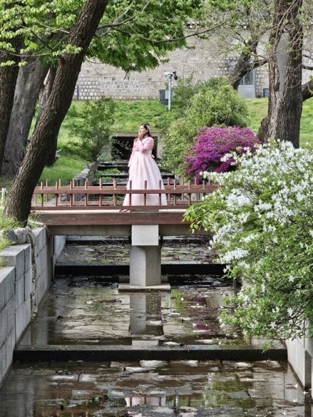 Jižní Korea - Čtyři tváře Koreje - sakury, hory, moře a javorové listy