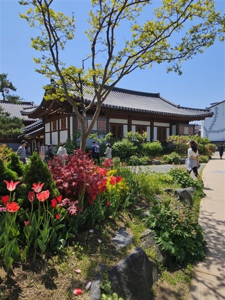 Jižní Korea - Čtyři tváře Koreje - sakury, hory, moře a javorové listy