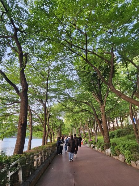 Jižní Korea - Čtyři tváře Koreje - sakury, hory, moře a javorové listy