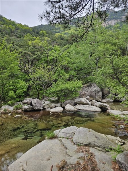 Jižní Korea - Čtyři tváře Koreje - sakury, hory, moře a javorové listy