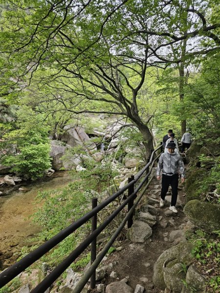 Jižní Korea - Čtyři tváře Koreje - sakury, hory, moře a javorové listy