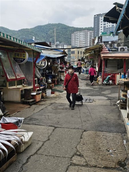 Jižní Korea - Čtyři tváře Koreje - sakury, hory, moře a javorové listy